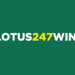Lotus247